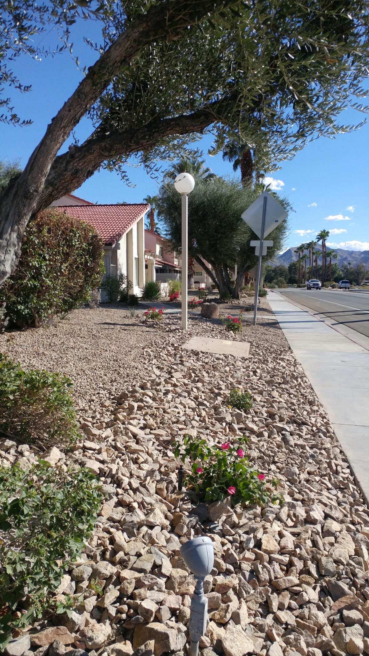 MOUNTAIN SHADOWS PALMSPRINGS